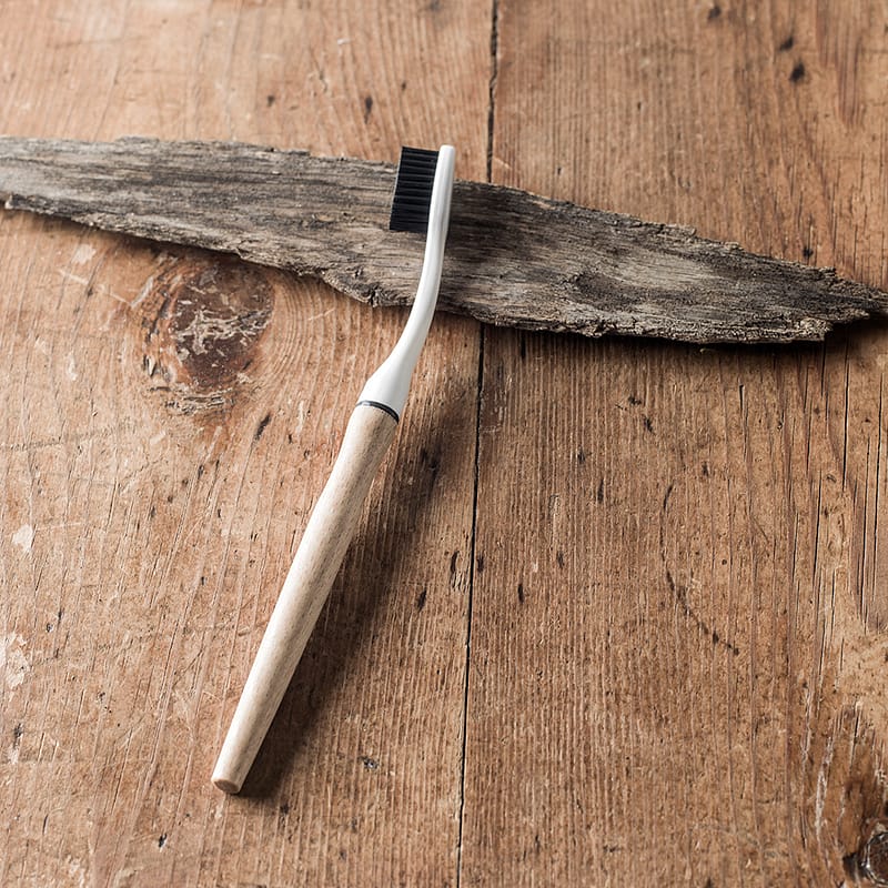 Design industriel - Brosse à dents Edith en forêt